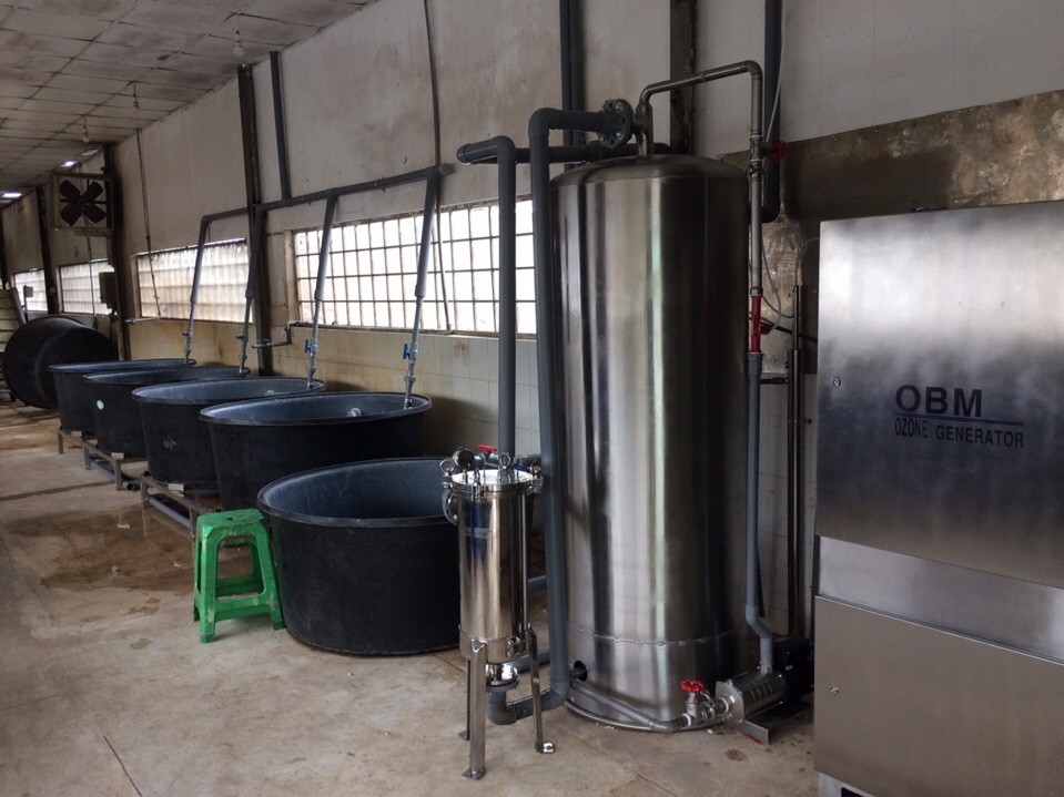 Máy ozone công nghiệp OBM 50g/h