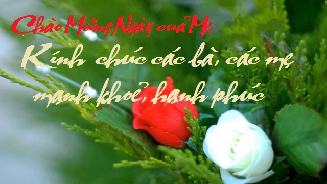 Tìm hiểu ngày của mẹ