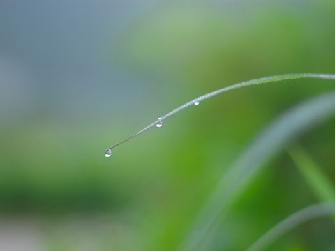 Vì sao sau những cơn giông không khí trở nên trong lành mát mẻ hơn